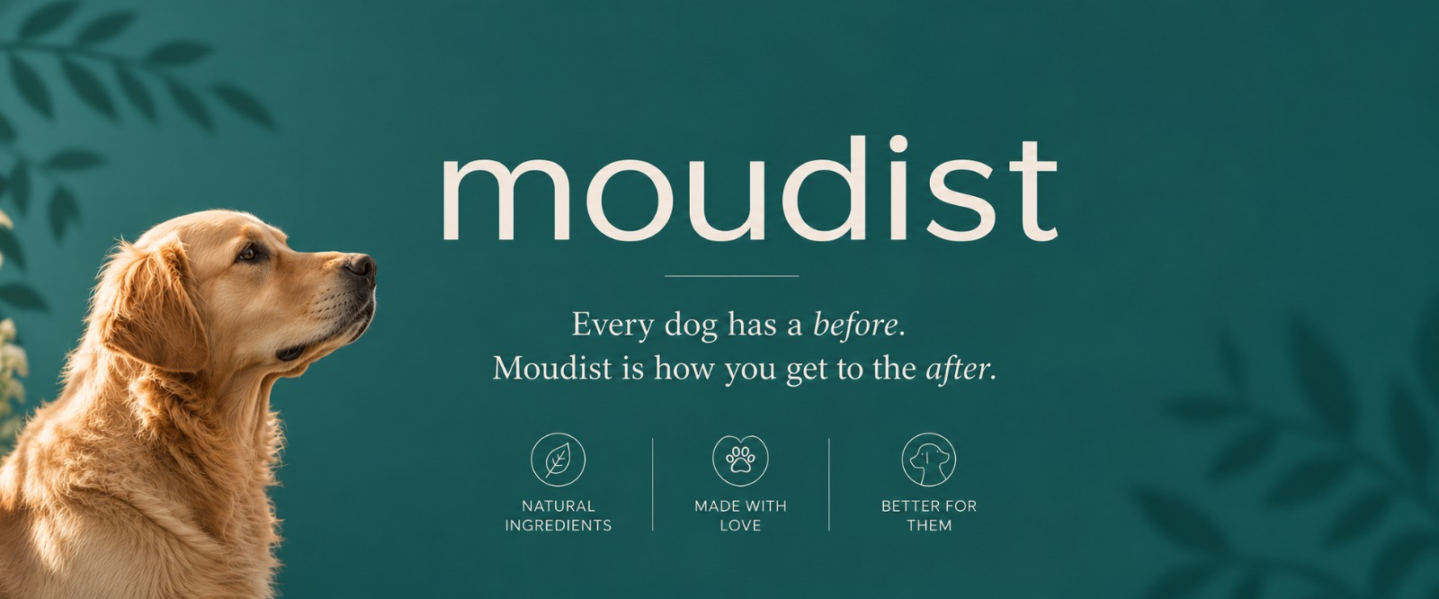 Moudist. Every dog has a before. Moudist is how you get to the after. Natural ingredients, made with love, better for them.